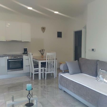 Apartment Ivana Novigrad  Екстер'єр фото