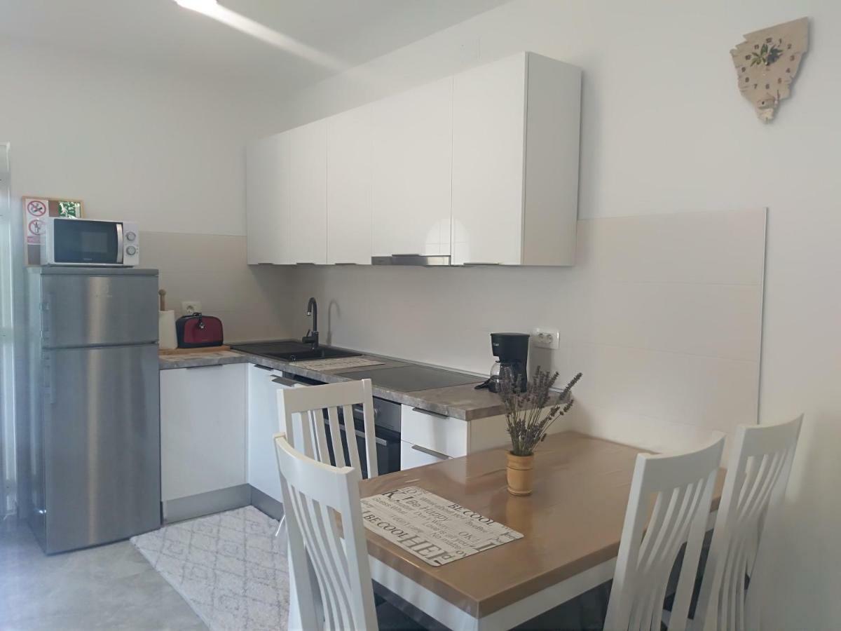 Apartment Ivana Novigrad  Екстер'єр фото
