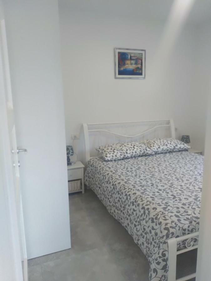 Apartment Ivana Novigrad  Екстер'єр фото