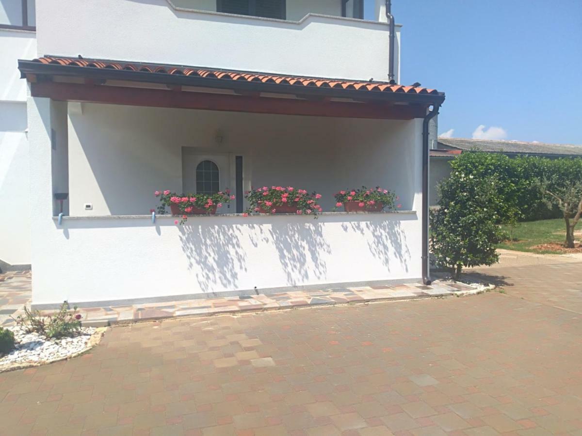 Apartment Ivana Novigrad  Екстер'єр фото