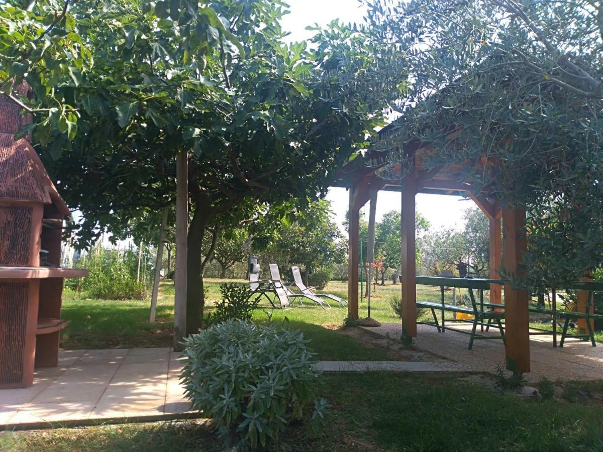 Apartment Ivana Novigrad  Екстер'єр фото