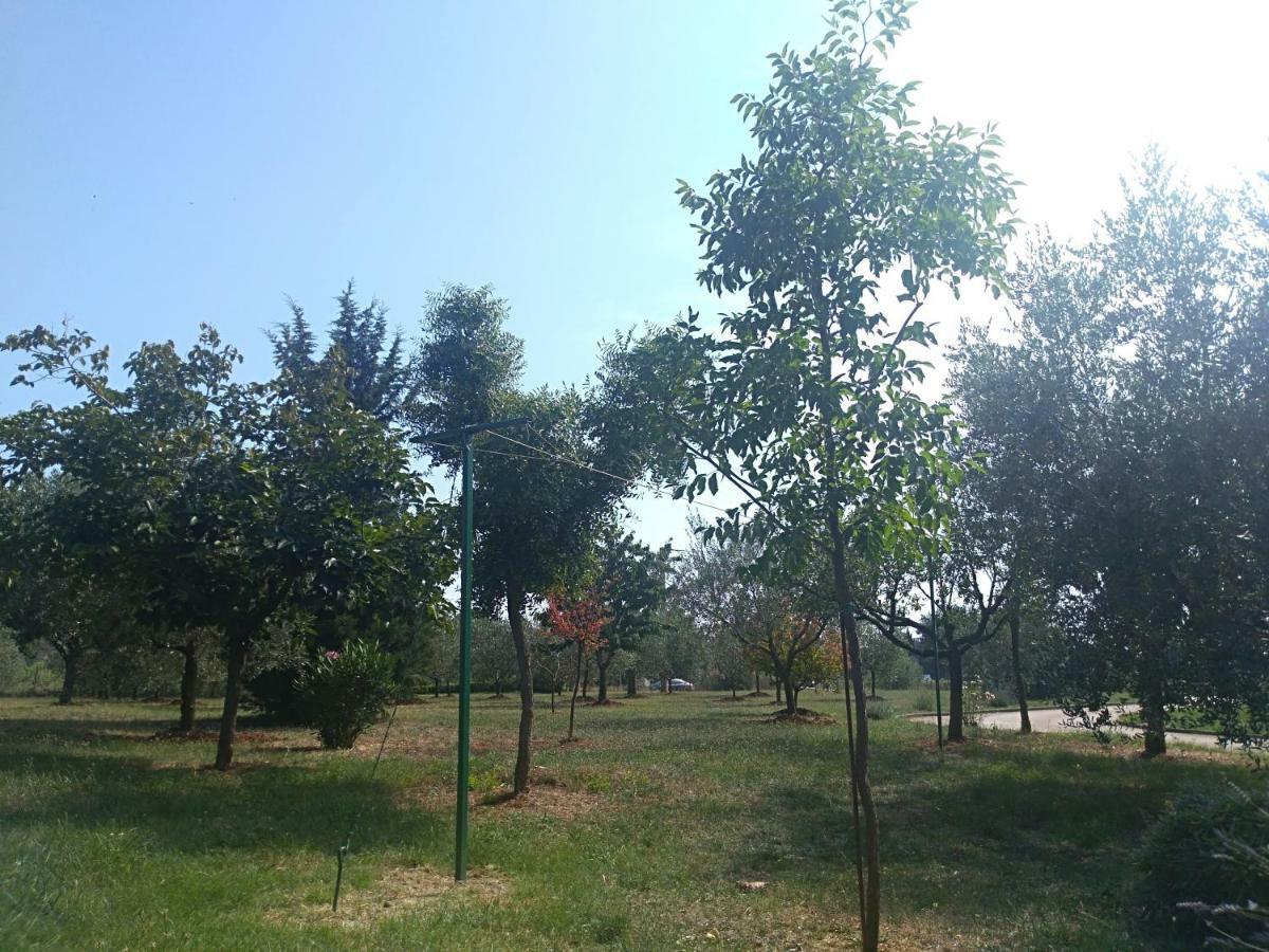 Apartment Ivana Novigrad  Екстер'єр фото